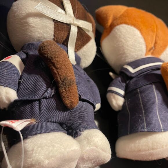 Lot of 2 Namennayo (Nameneko) Cat Plush – Japanese Character – Stuffed Animals - Picture 6 of 7
